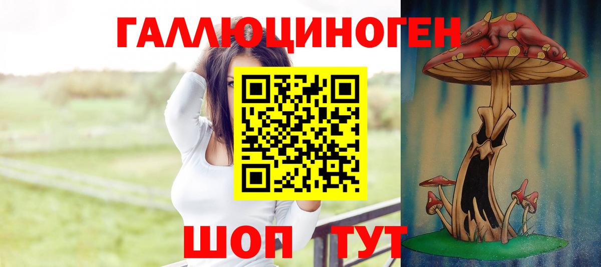 Галлюциногенные грибы Psilocybine cubensis  цена   Вход с VPN  Тобольск  Псилоцибиновые грибы мицелий 